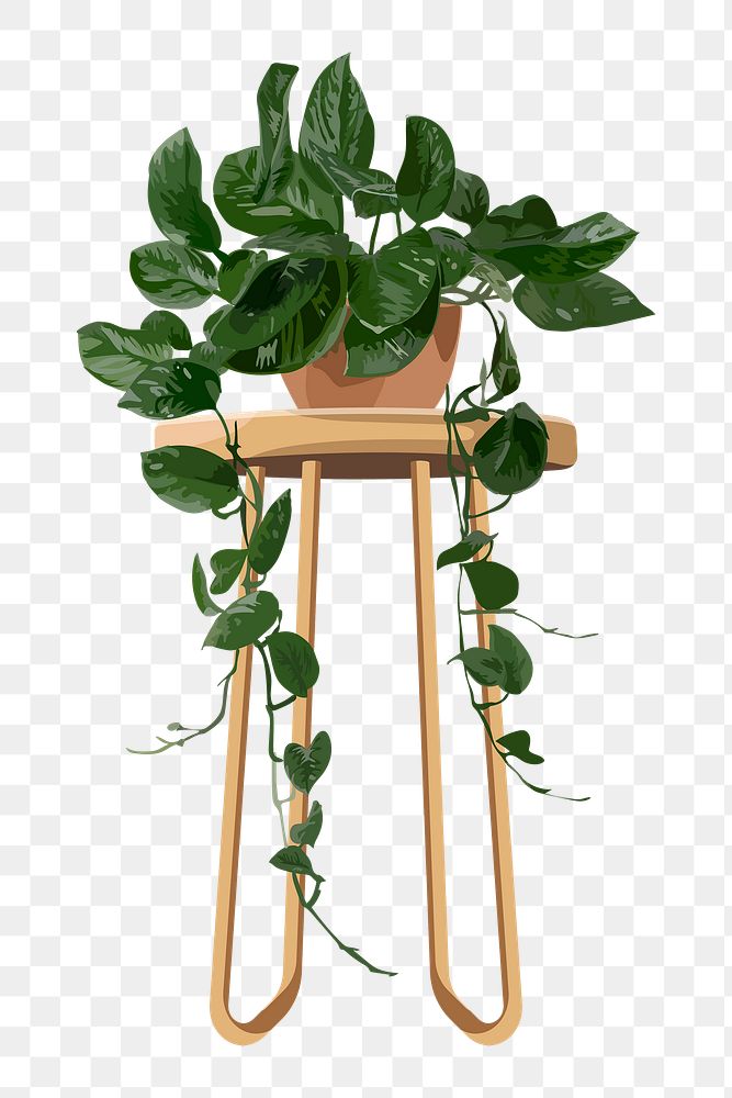 Houseplant PNG clipart, hanging pothos