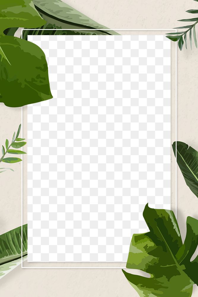 Leaf frame PNG clipart border, green Monstera plant transparent background