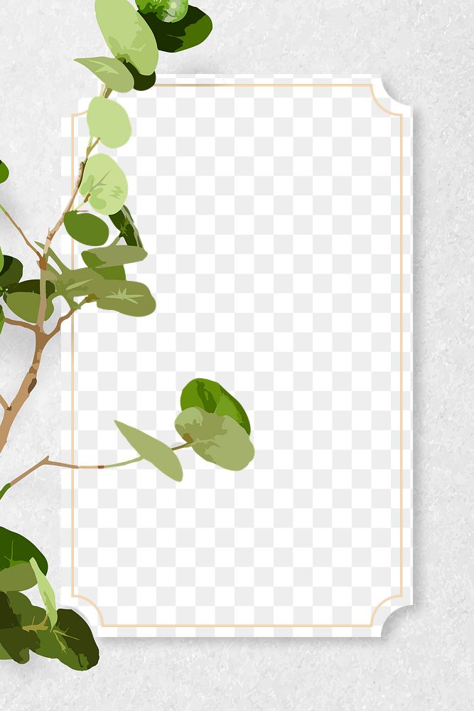 Leaf frame PNG clipart border, Seagrape plant transparent background