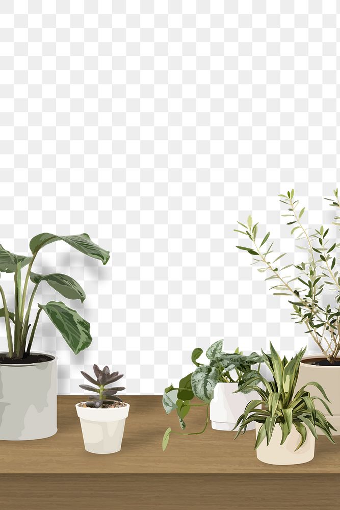 Houseplant PNG background transparent wall