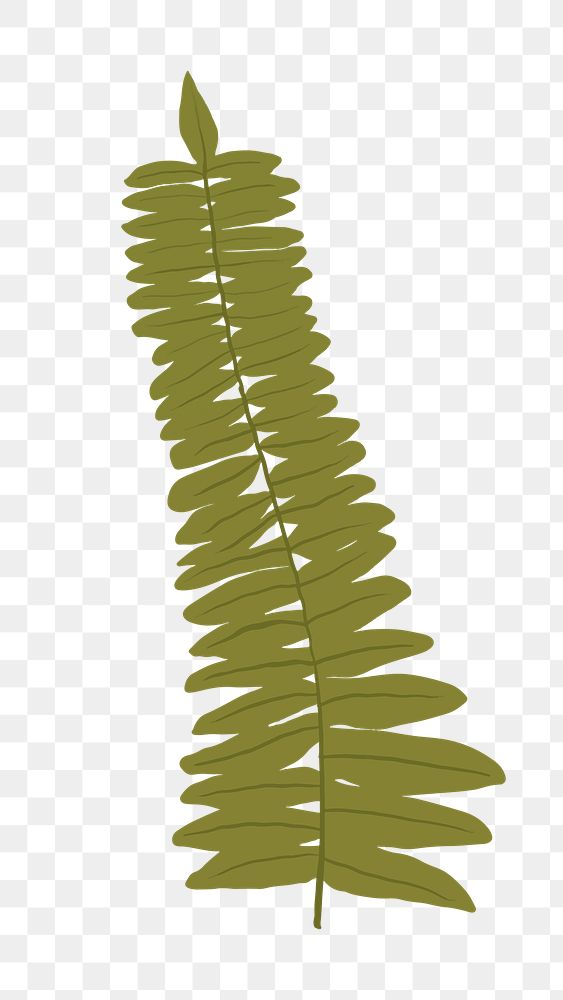 PNG gern leaf sticker plant botanical illustration