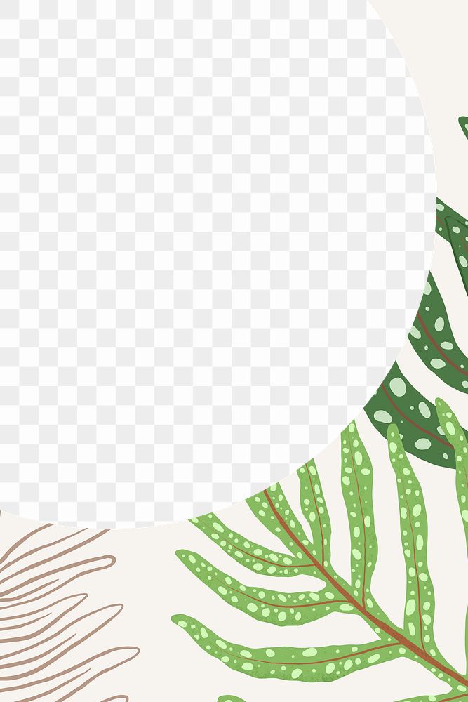 Frame PNG fern tropical leaf botanical illustration