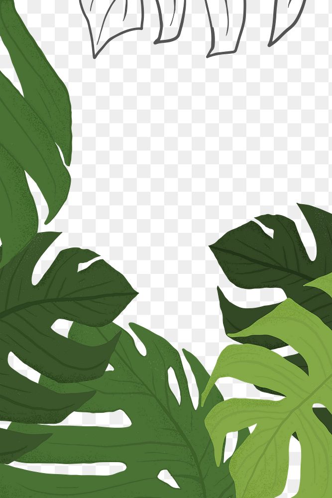 PNG monstera plant frame sticker botanical illustration