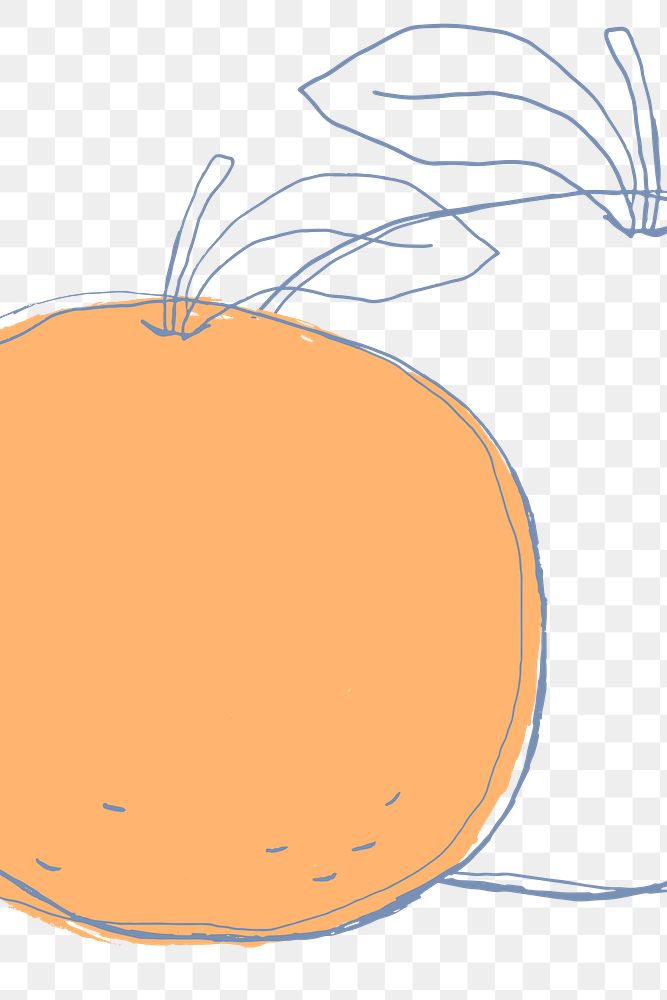 Fruit doodle cute orange png copy space