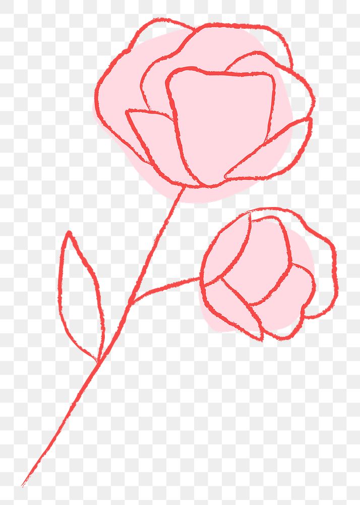 Romantic pink rose png in transparent background