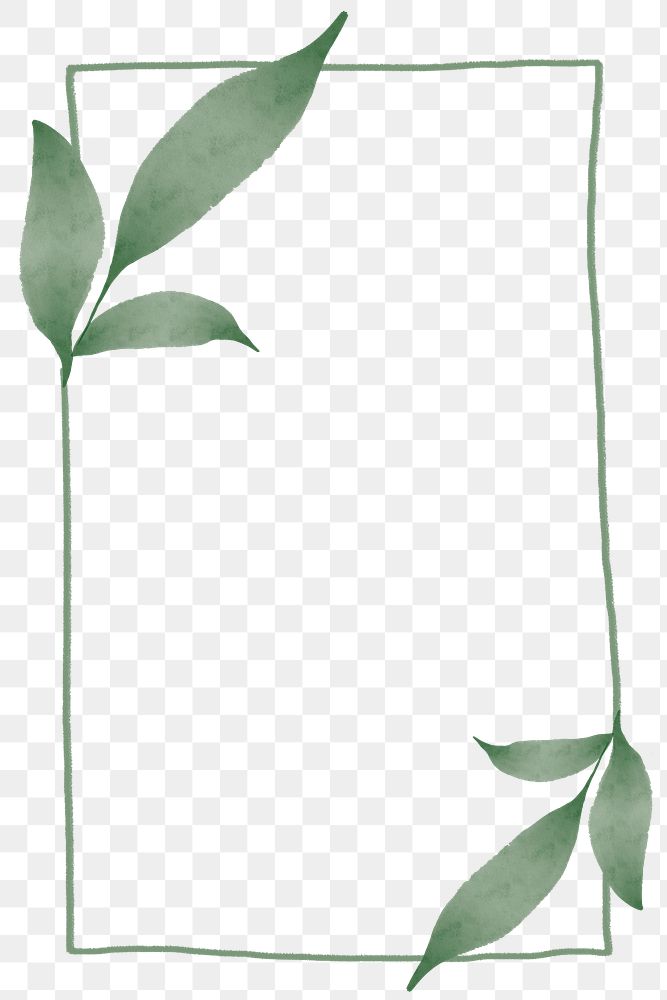 Png rectangle frame with leaf design