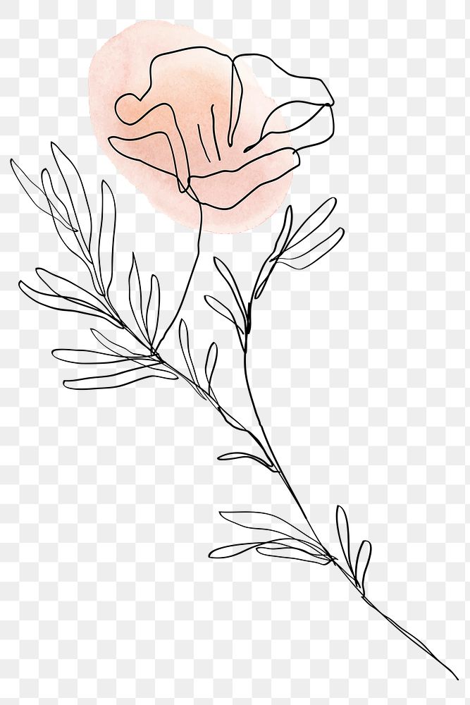 Poppy png flower orange pastel feminine line art illustration