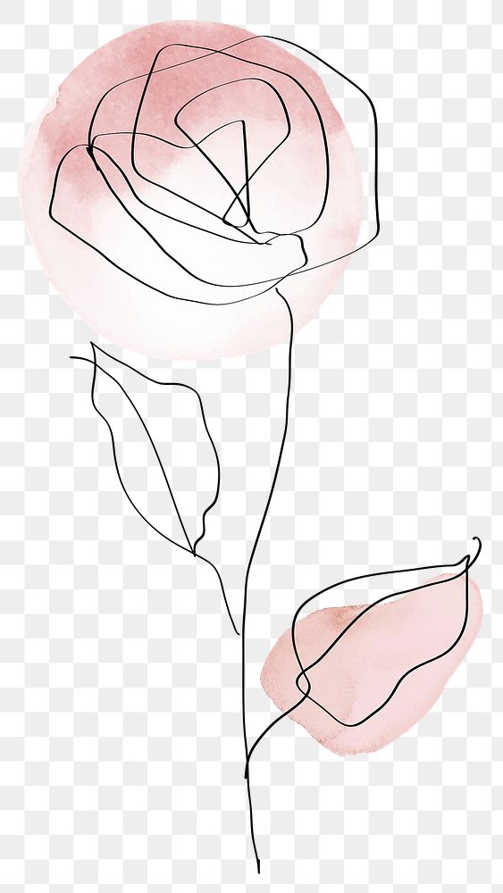 Rose png flower pink pastel feminine line art illustration