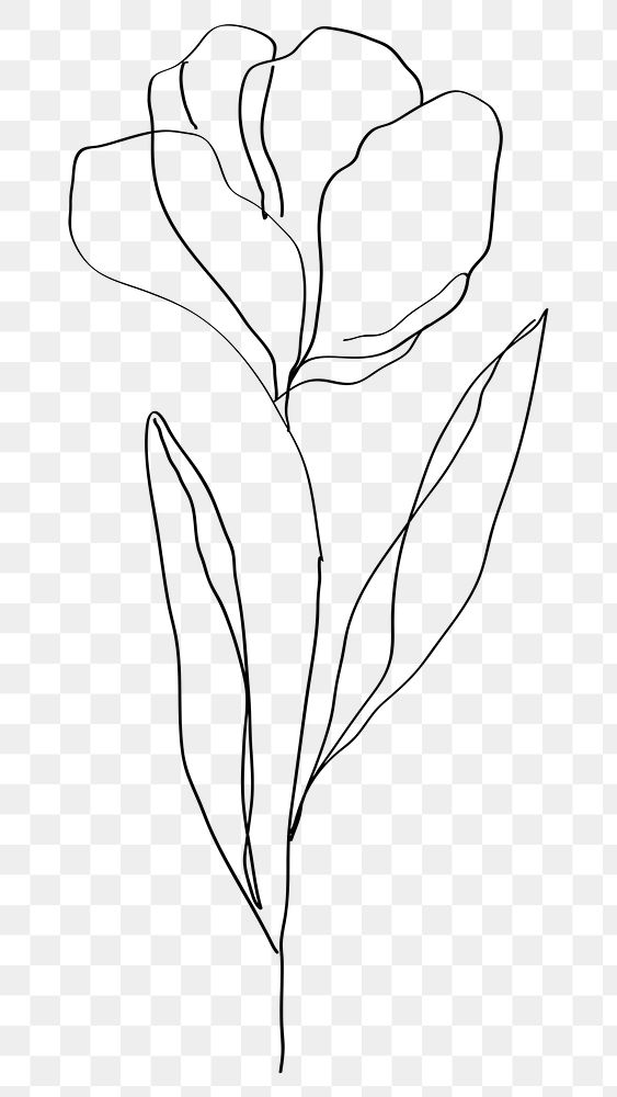 Tulip png flower black feminine line art illustration