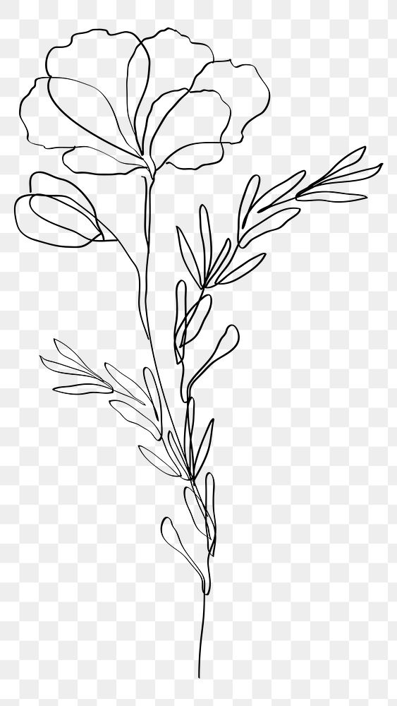 Poppy png flower black feminine line art illustration