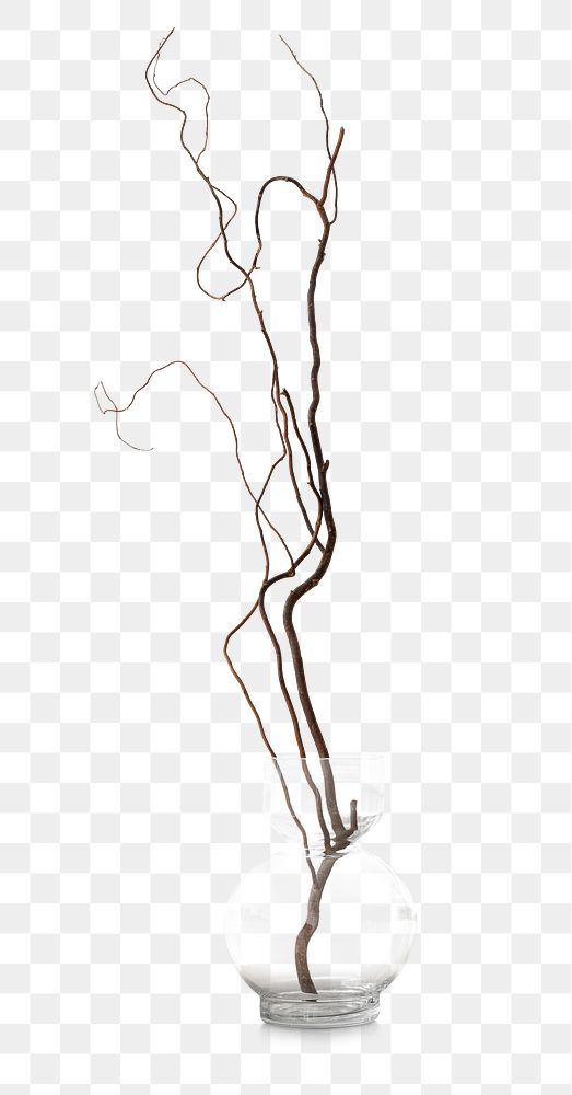 Vase mockup png with dry twig for home decoration