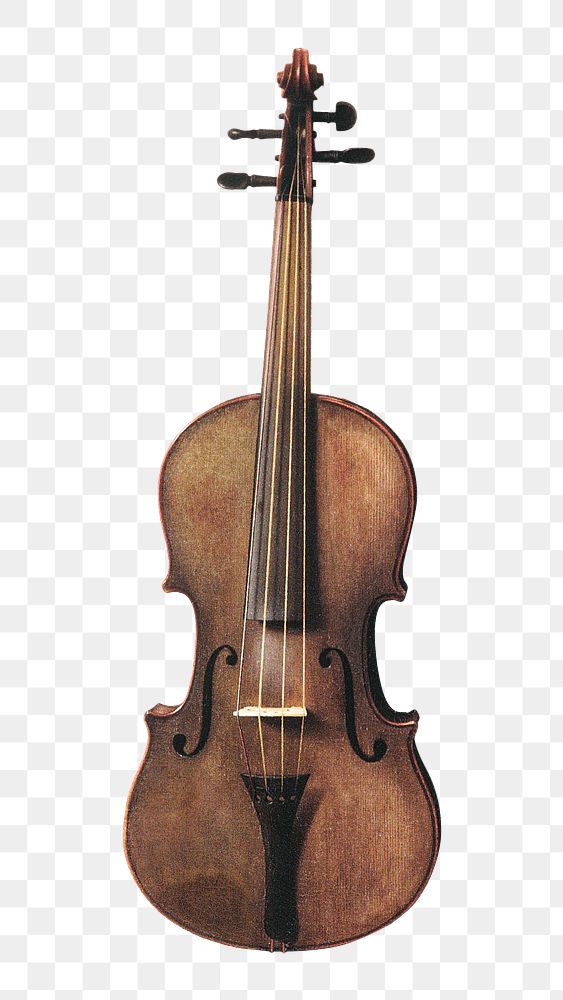 Vintage hand drawn violin design element