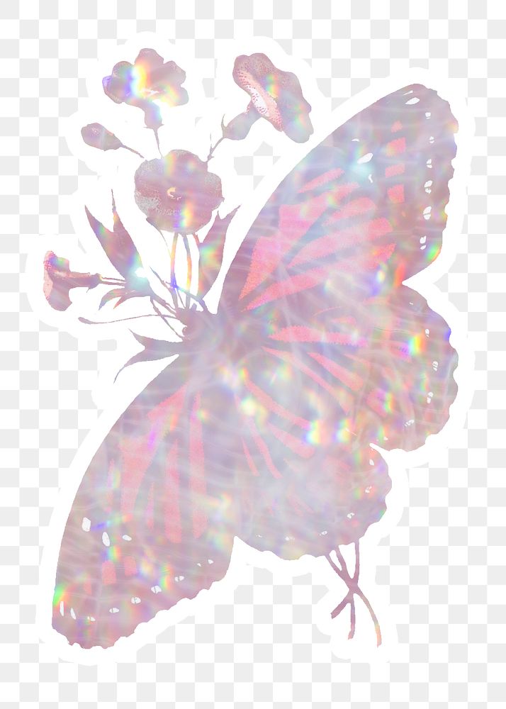 Pink holographic butterfly and flowers sticker with white border