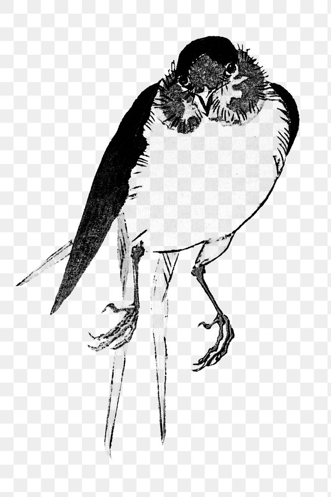 Vintage illustration of a swallow design element