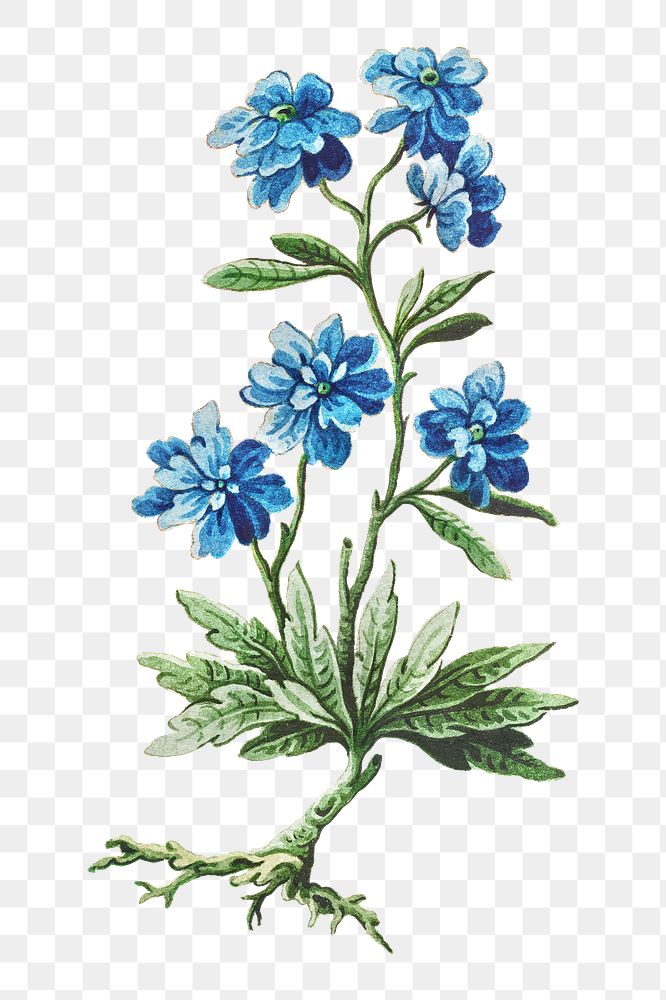 Vintage blooming blue flower branch design element