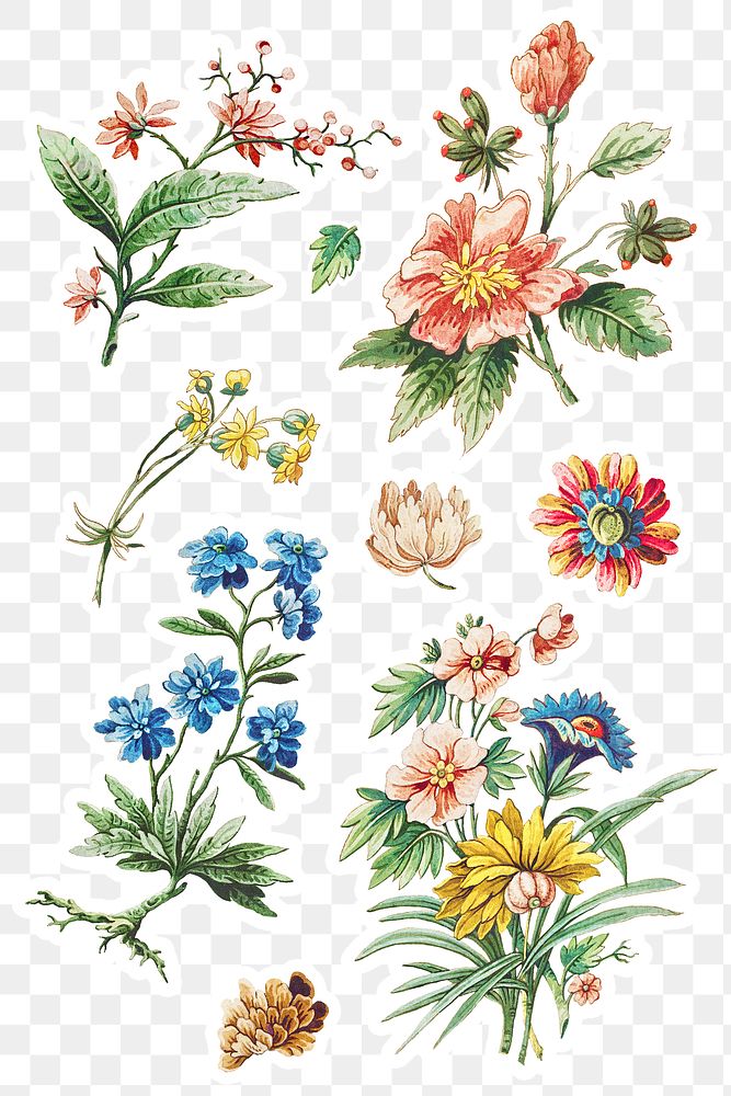 Vintage blooming flower sticker set design elements