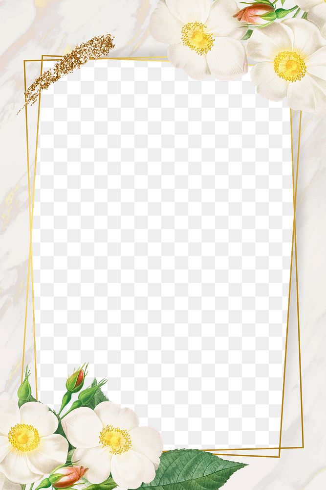 Floral frame design transparent png