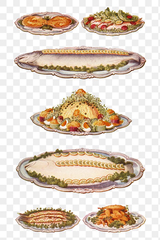 Vintage seafood illustrations of scallops au gratin, red mullet, salmon au naturel, mayonnaise of lobster, turbot, river…