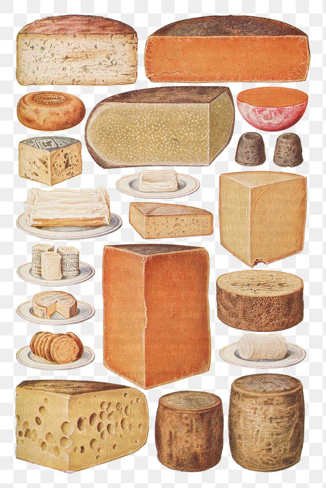 Vintage set of cheeses design resources  