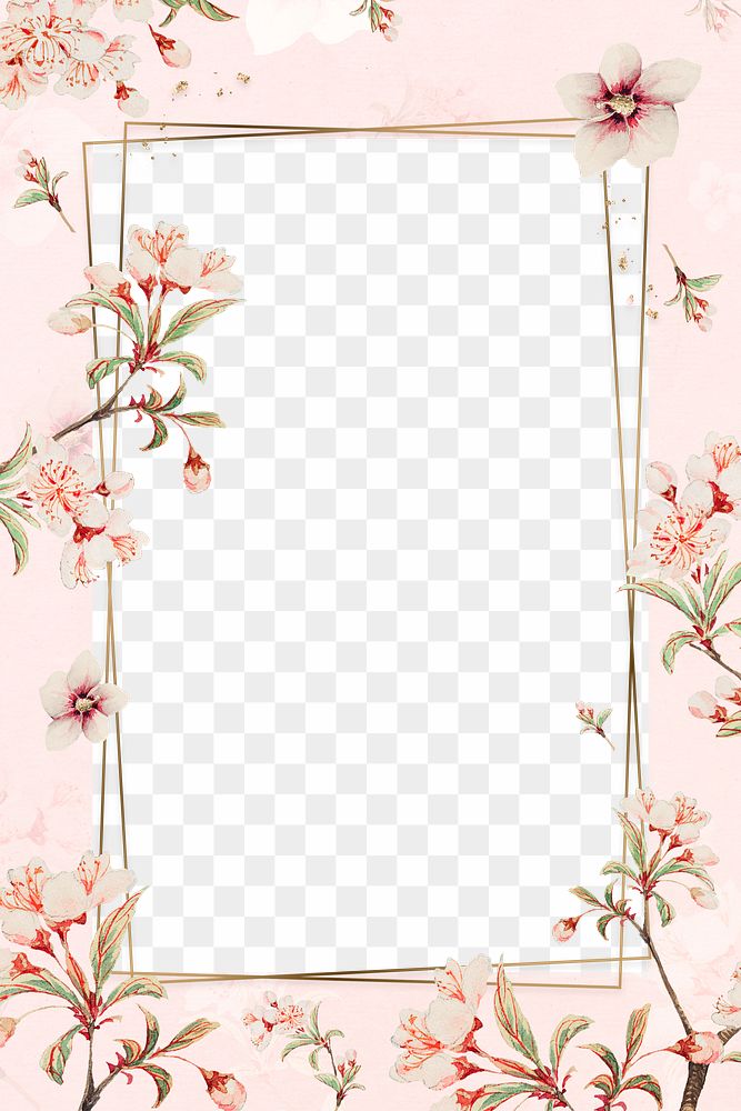 Vintage Japanese png floral frame cherry blossom and hibiscus art print, remix from artworks by Megata Morikaga