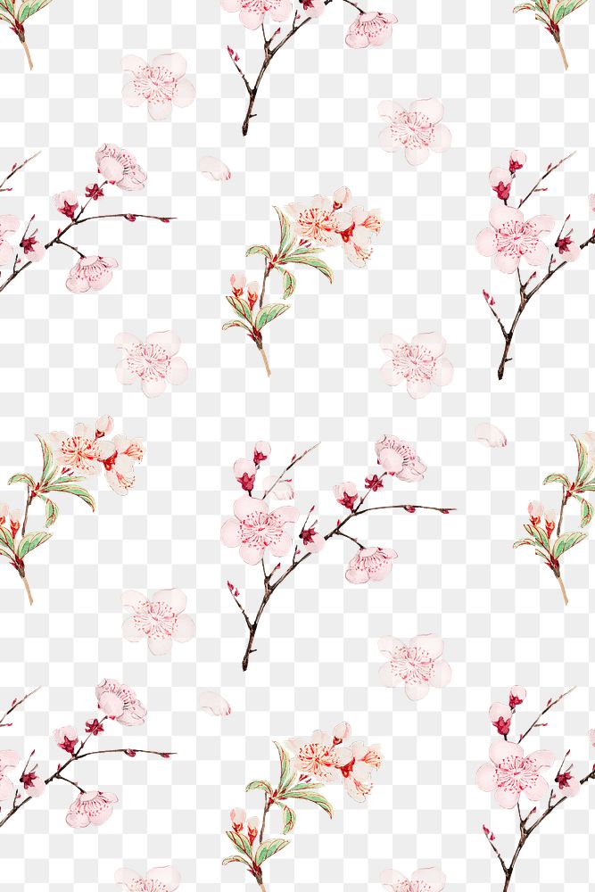 Japanese plum blossom pattern transparent background, remix from artworks by Megata Morikaga