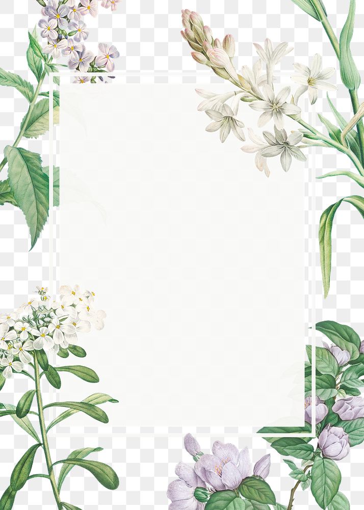 Vintage blank various flowers themed frame transparent png