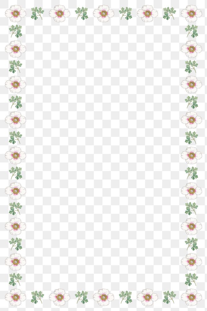 Vintage white poppy flower frame transparent… | Free stock illustration | High Resolution graphic Vintage white poppy flower frame transparent png design element