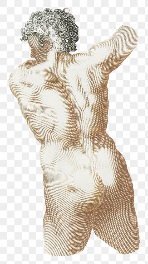 Back of naked man png sticker vintage Renaissance