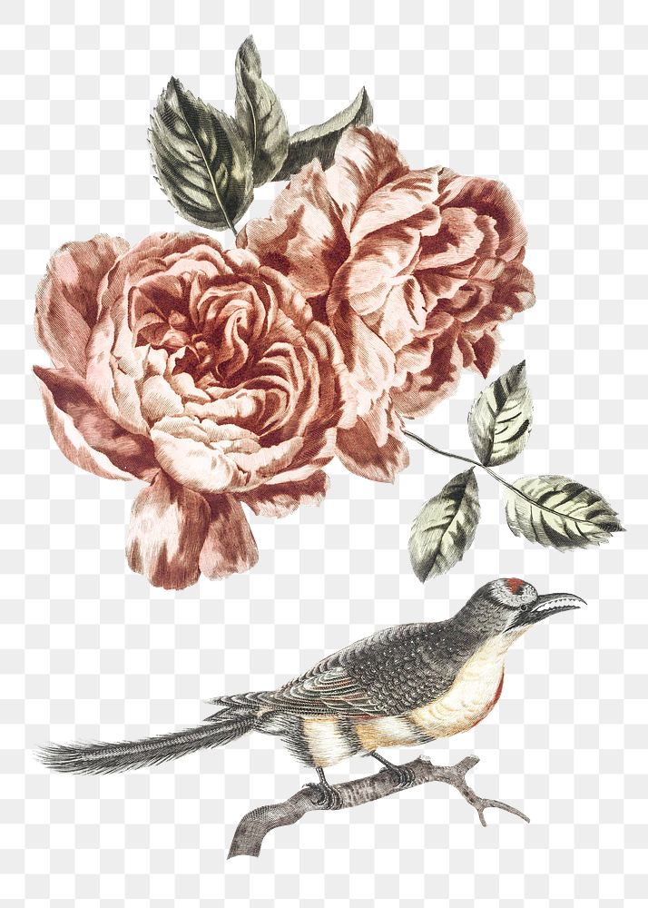Vintage bird and flower png sticker hand drawn illustration set
