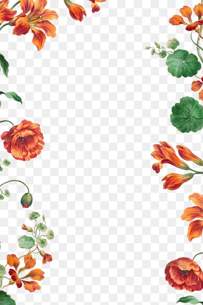 Floral frame png with poppy and lily art print, remixed from artworks by John Edwards