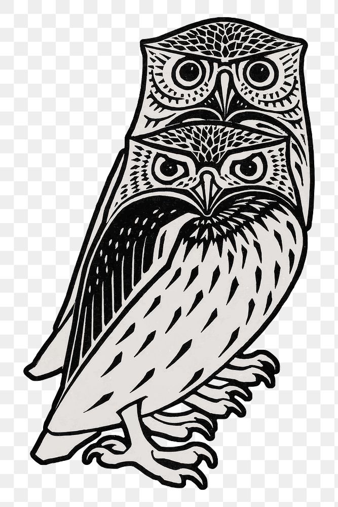 Vintage owl bird sticker png hand drawn