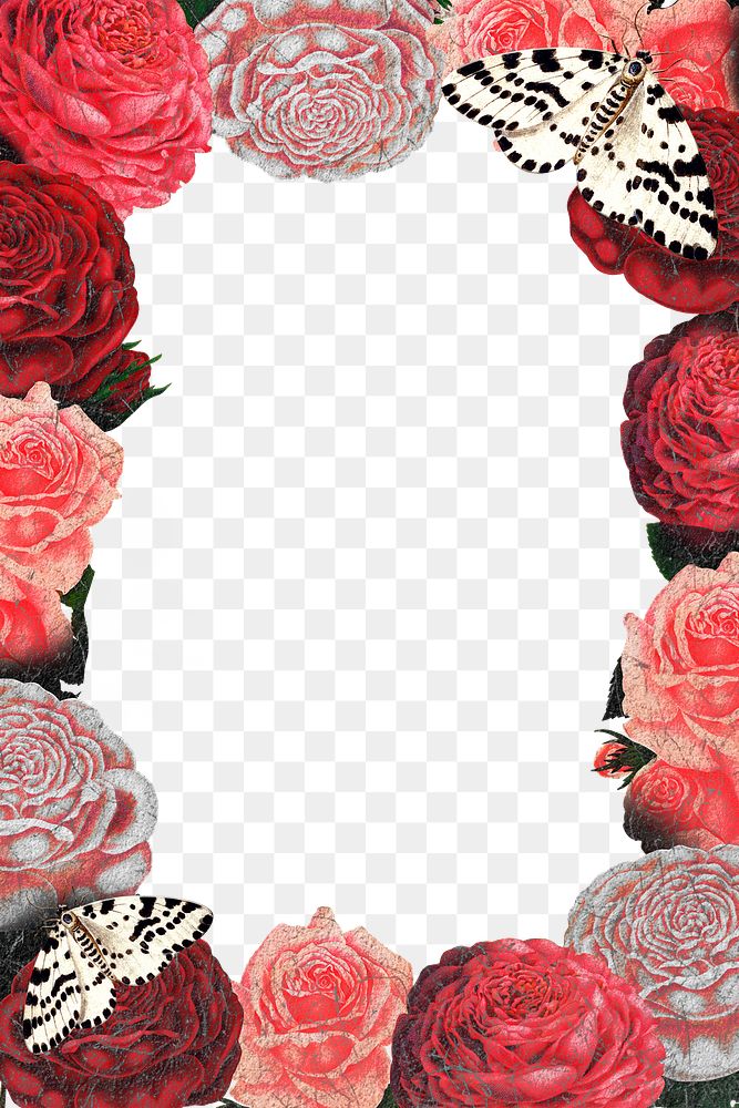 Pink rose png frame, floral transparent background