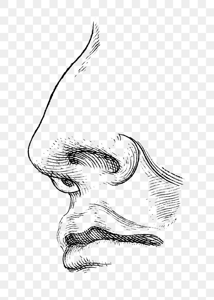 Human nose and mouth monochrome design element
