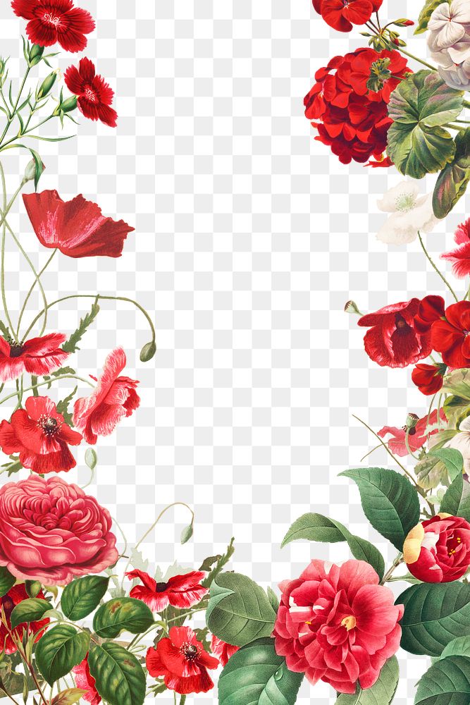 Vintage red flowers frame png illustration