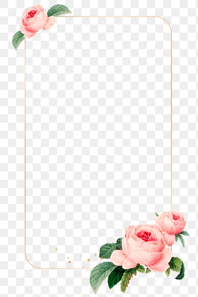 Pink cabbage rose pattern on a gold frame design element