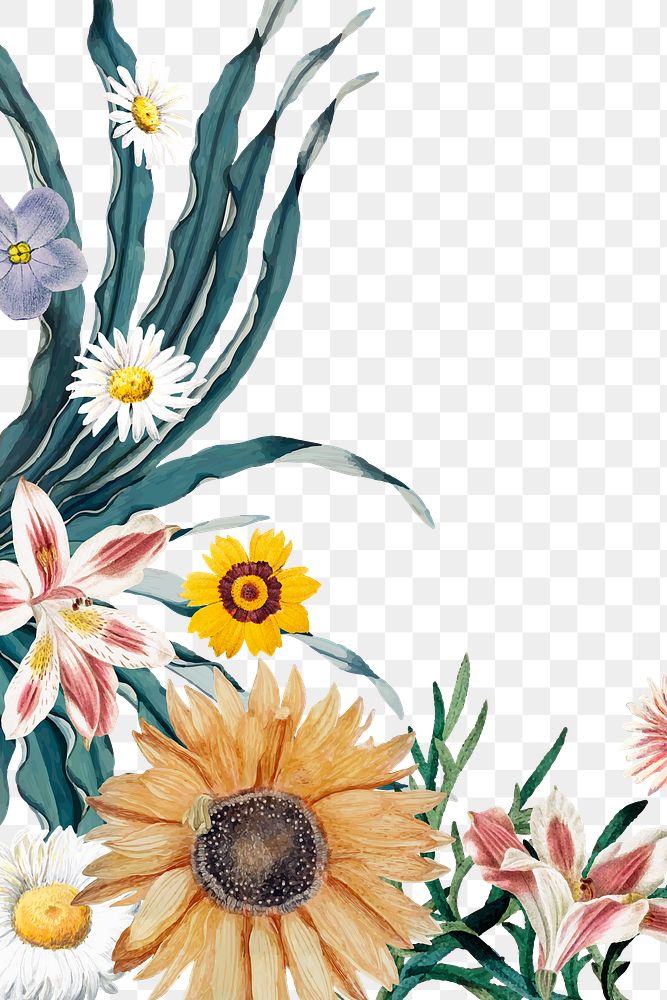 Blossom floral side border png
