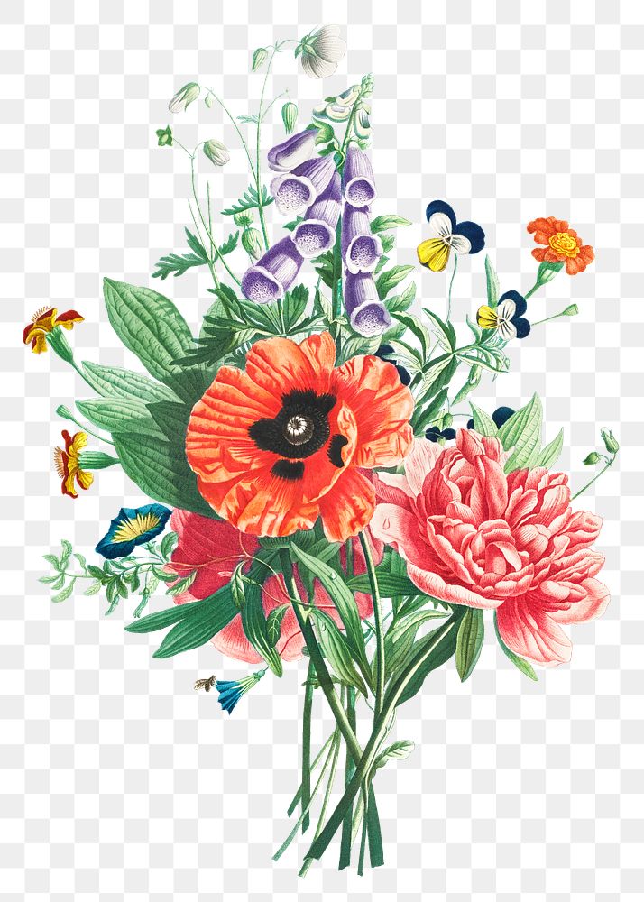 Vintage foxglove, clematis, pansy, peony,… | Free stock illustration | High Resolution graphic Vintage foxglove, clematis, pansy, peony, poppy, and yellow day lily flower bouquet illustration botanical wall art