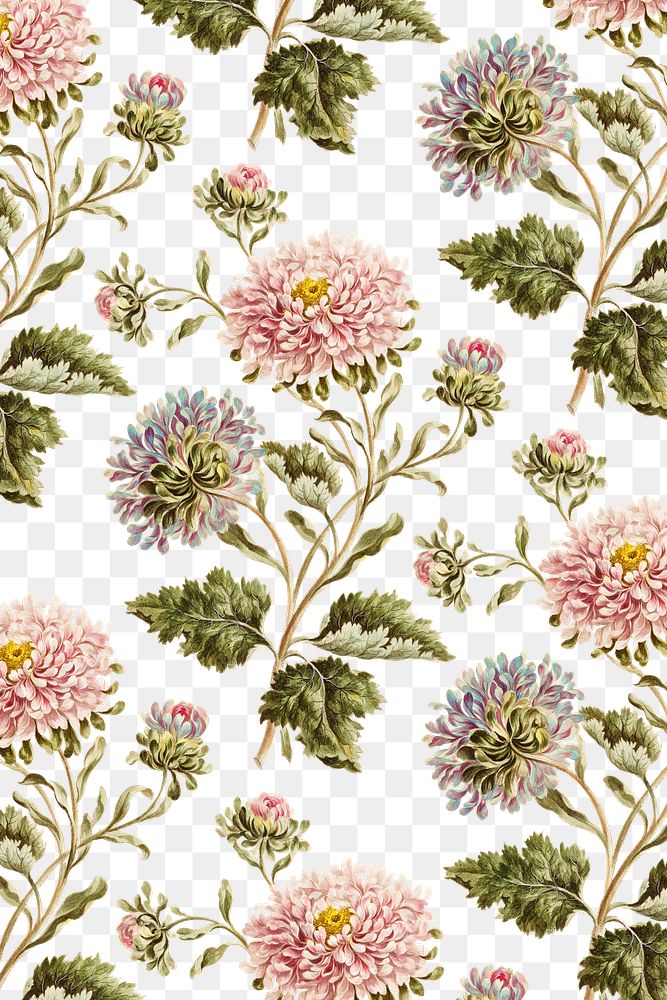 Vintage large double china aster flower… | Free stock illustration | High Resolution graphic Vintage large double china aster flower pattern background design resource