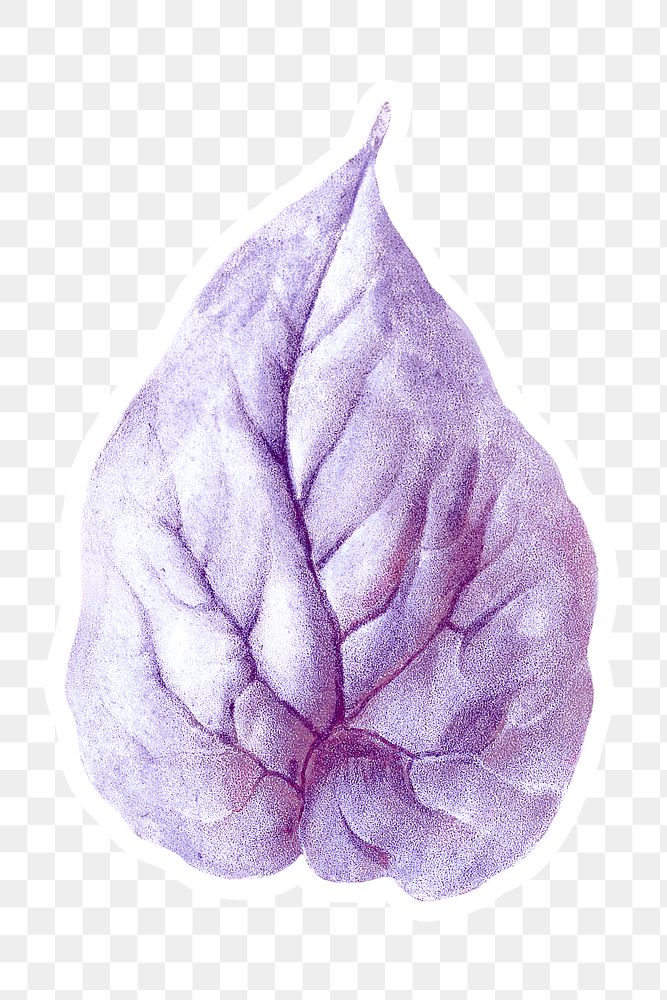 Vintage purple martynia flower leaf sticker with white border