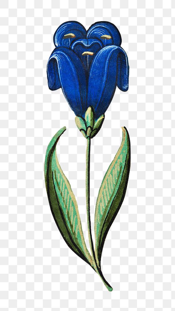 Vintage blue flower illustration png, featuring public domain artworks