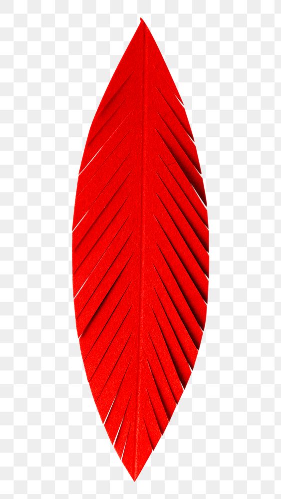 Red feather 3D papercraft png