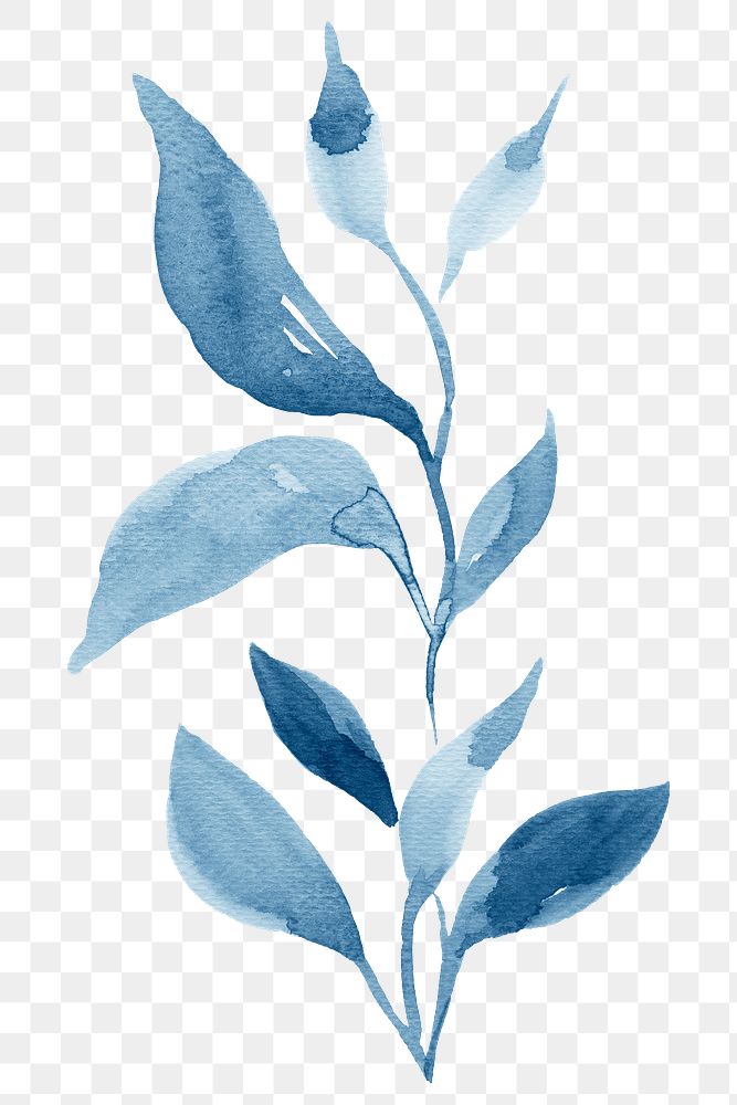 Branch watercolor design element transparent png