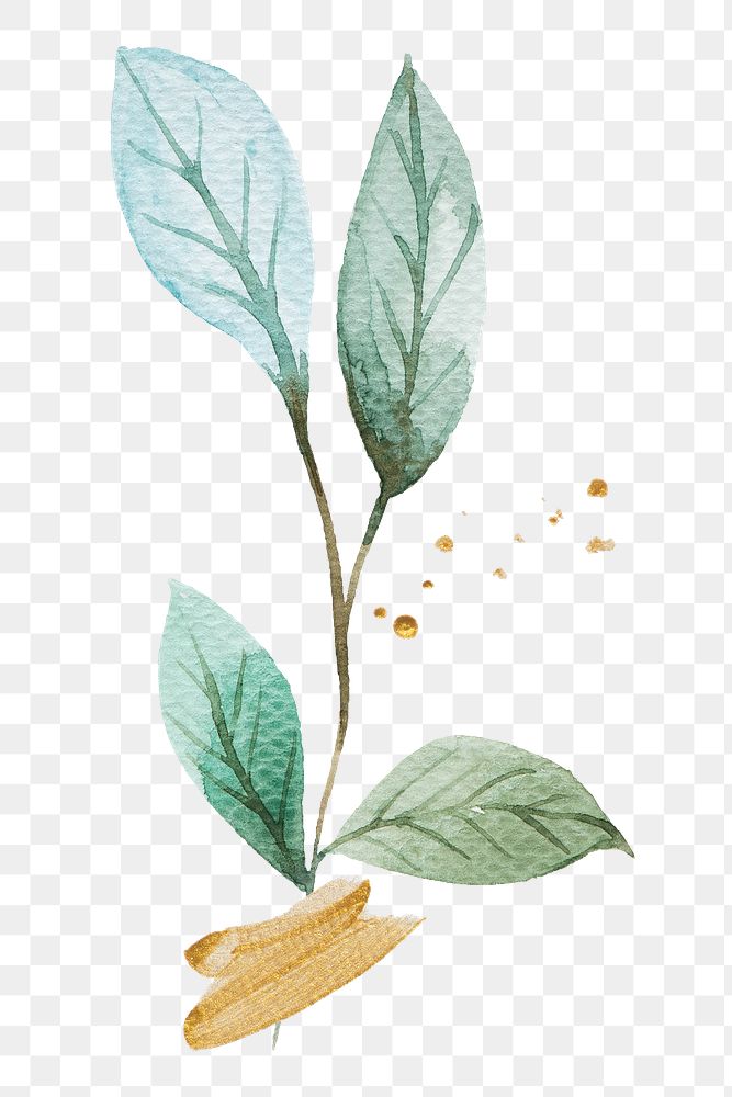 Branch watercolor design element transparent png