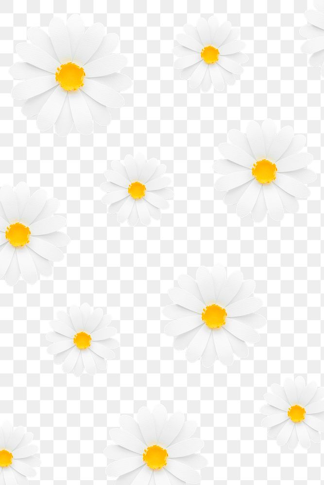 White daisy pattern transparent png