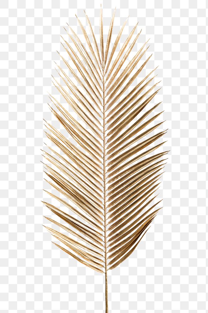 Areca palm leaf painted in gold design element