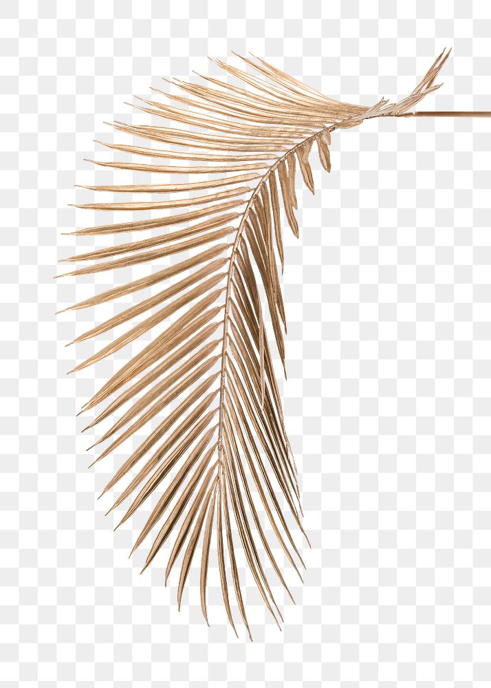 Areca palm leaf painted in gold design element