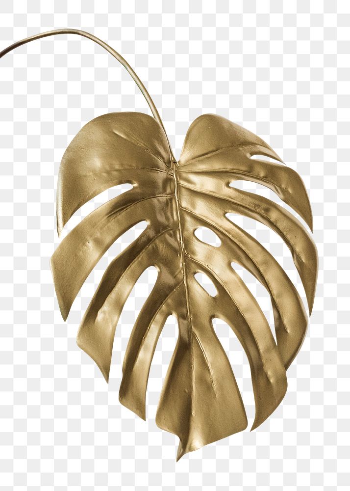 Shiny golden monstera leaf transparent png
