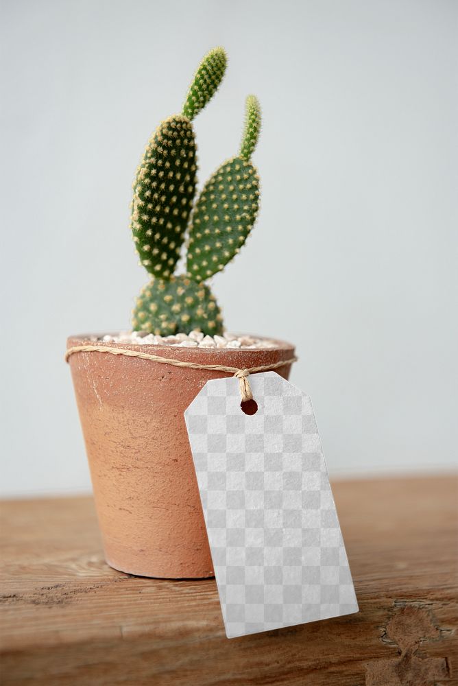 Paper tag png mockup on cute cactus pot
