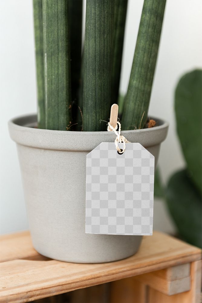 Label png mockup on a gray pot with a plant