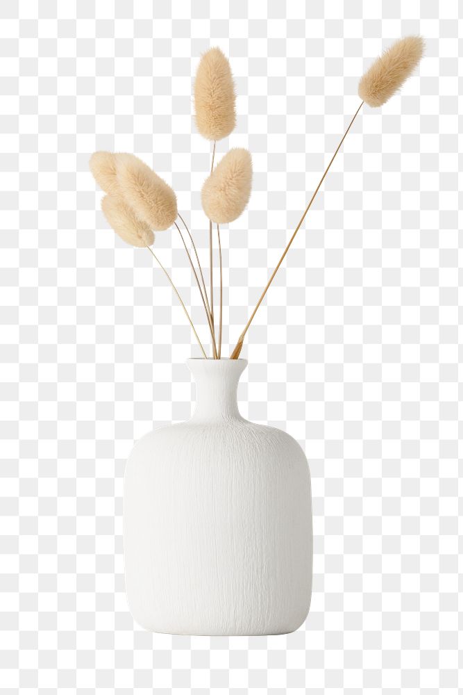 White vase png element sticker, botanical design on transparent background